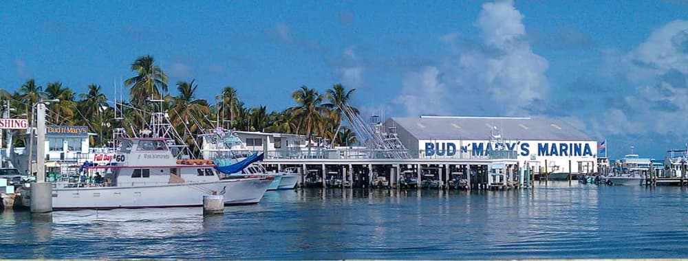 Bud'n Mary's Fishing Marina