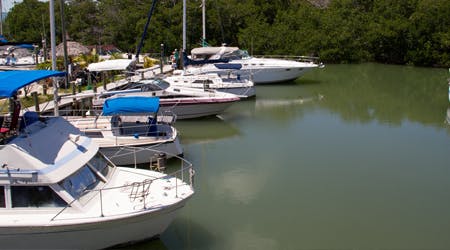 Marina Image