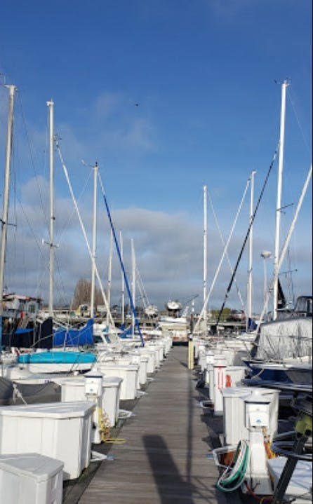 Marina Image