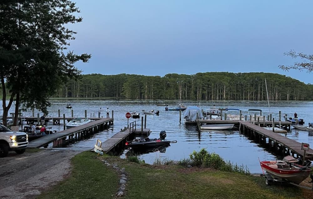 Riverside Camp and Marina