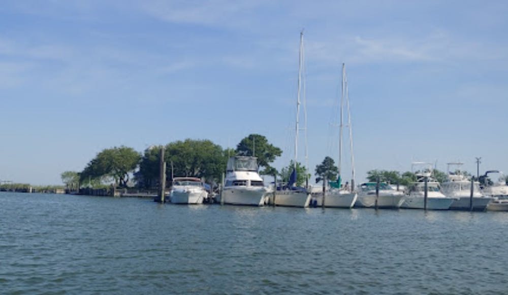 Marina Image