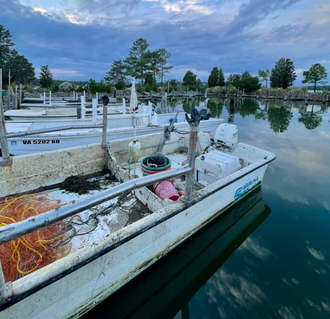 Winter Harbor Haven Marina