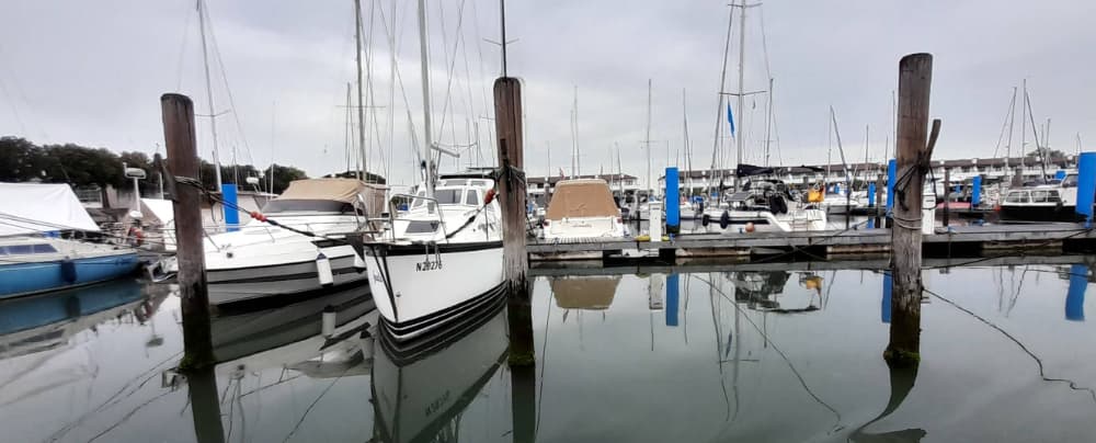 Marina Image