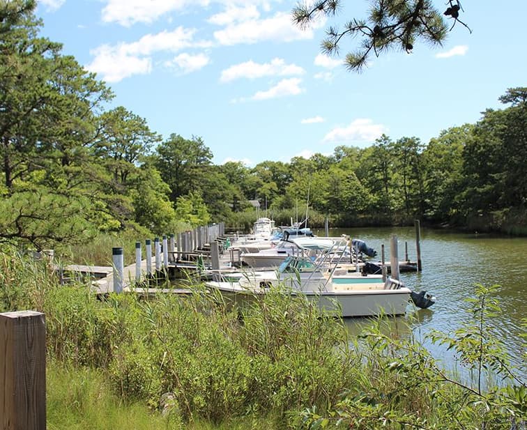 Pine Neck Marina & Off the Leash Dog Area