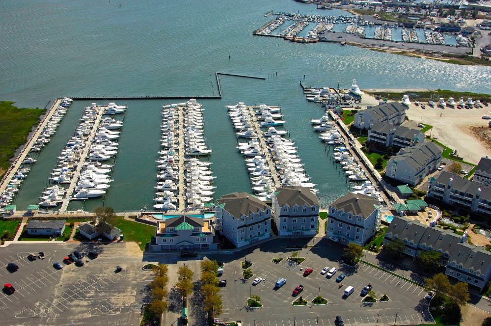 Marina Image