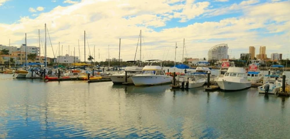 Marina Image