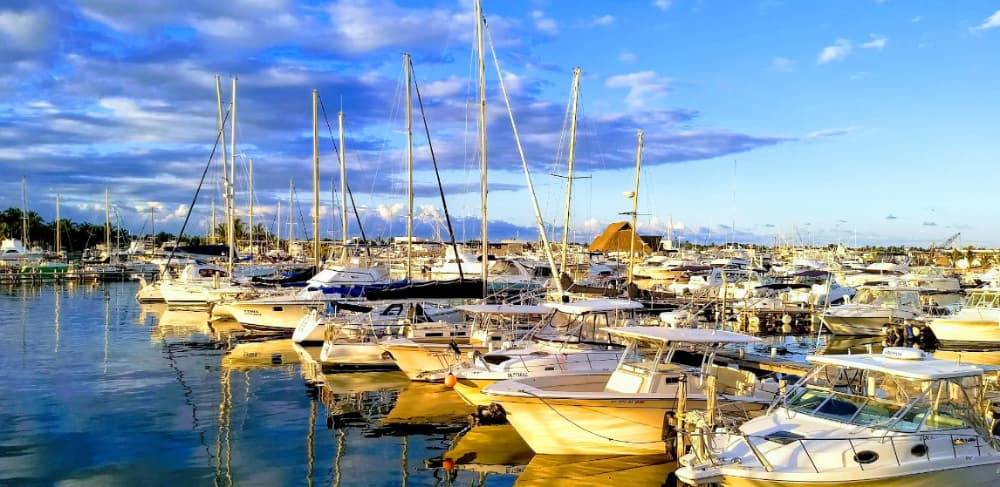 Marina Image