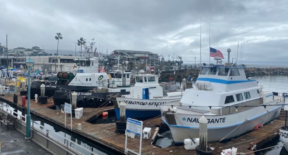 Redondo Beach Marina