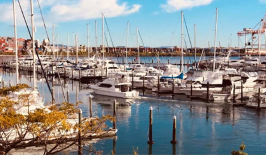 Marina Image