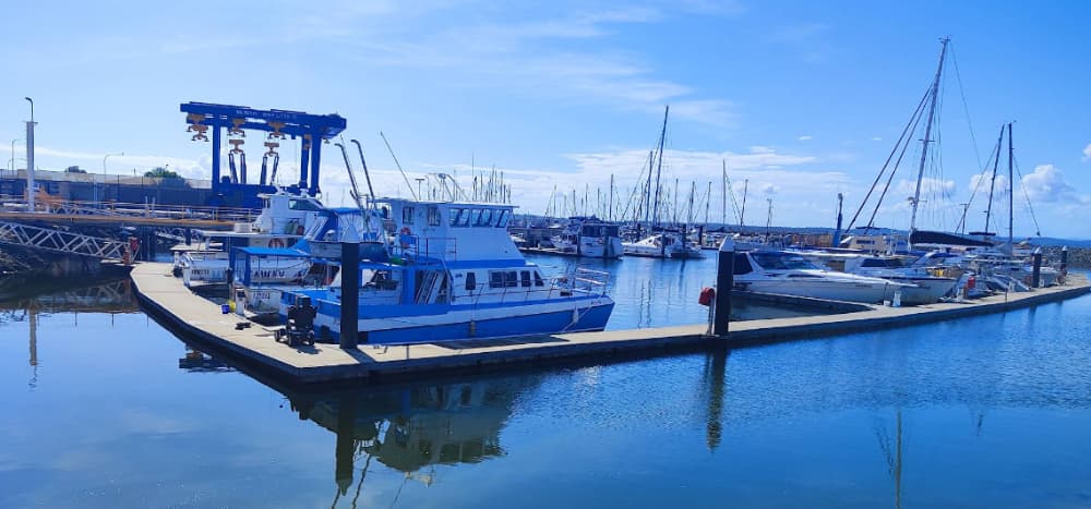 Marina Image