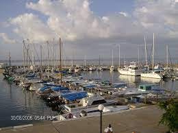 Marina Image