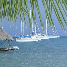 MEDREGAL MARINA &  VILLAGE 