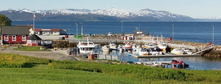 Marina Image