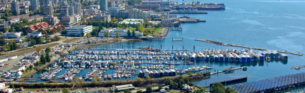 Mosquito Creek Marina