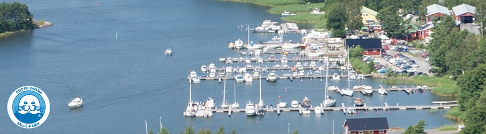 Marina Image