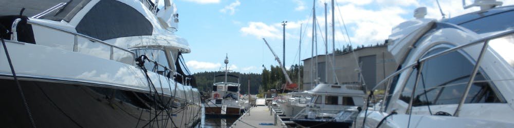 Marina Image