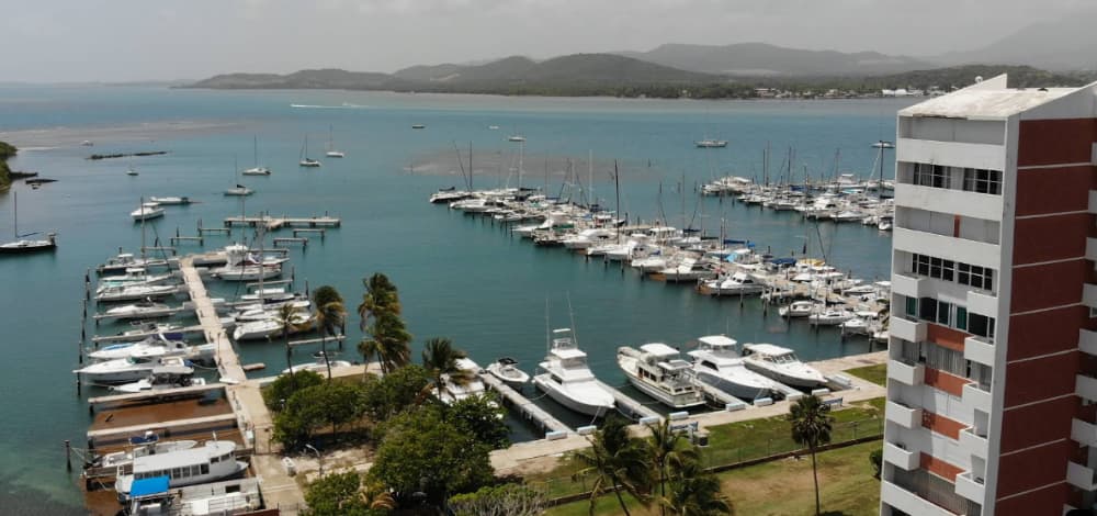 Marina Image